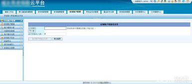 軟件開發與軟件定制 差異、應用與選擇指南